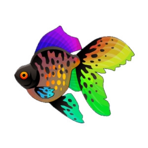 Rainbow Wave Goldfish